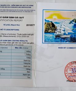 giay-kiem-dinh-tranh-da-quy