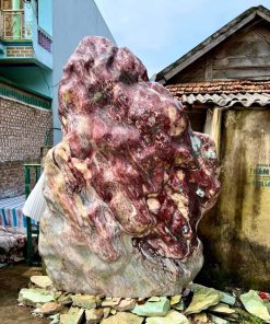 Cây bon sai đá vân thổ cẩm đa sắc