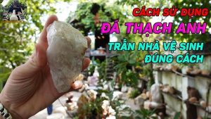 Cách Rải Đá Thạch Anh Nhà Vệ Sinh