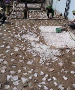 Hướng Dẫn Dùng Đá Thạch Anh Vụn Rải Nền Móng Nhà