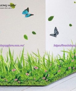 vẽ chân tường lớp học